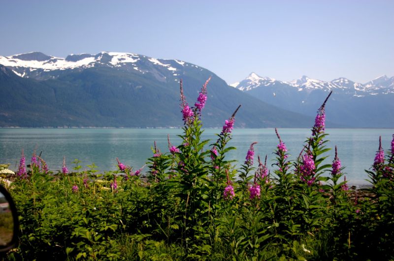 062404 Haines AK (10032)